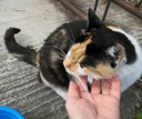 03_IMG_20230902_155212_773Kopie.jpg