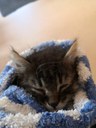 07_FB_IMG_1668365833579.jpg