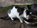 08_FB_IMG_1671635510396.jpg