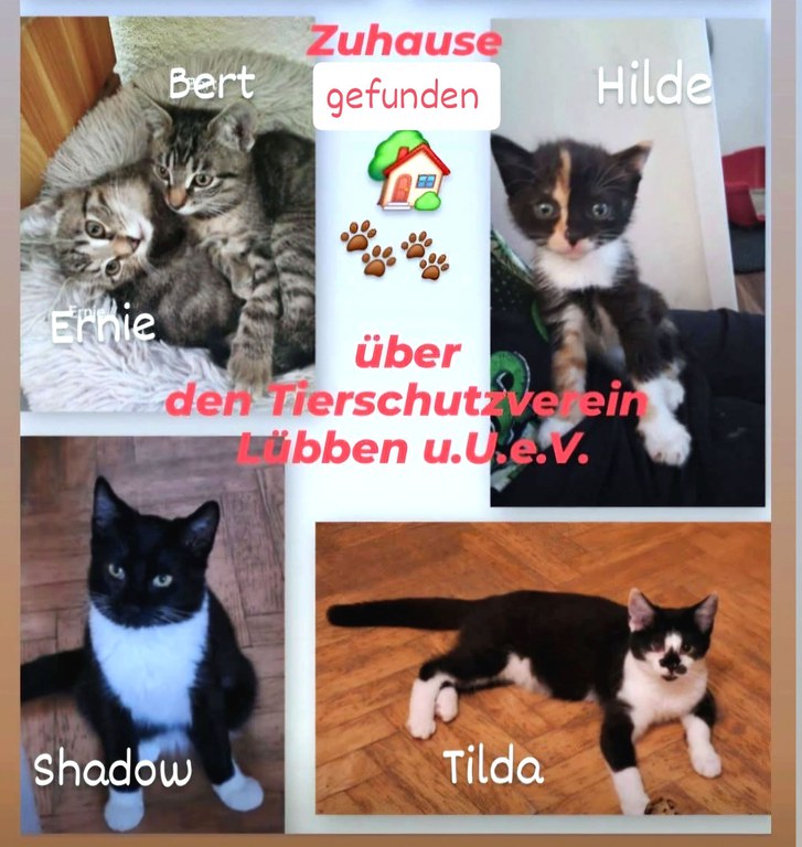 1000287168.jpg 1000287168.jpg