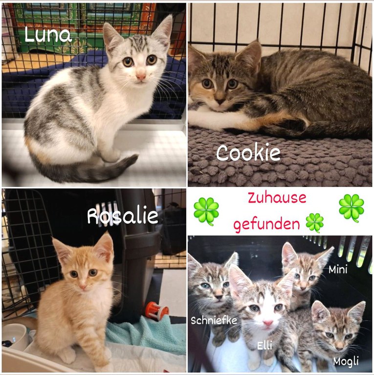 1000287174.jpg 1000287174.jpg