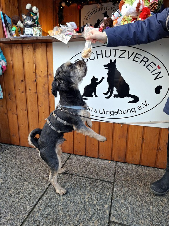 20251207_123329.jpg 20251207_123329.jpg