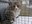 4dd82175-c373-4de1-bbe5-fdf4be8563ee.jpeg