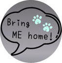 bring me home.jpg