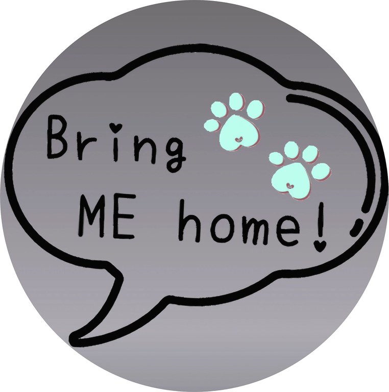 bring me home.jpg bring me home.jpg