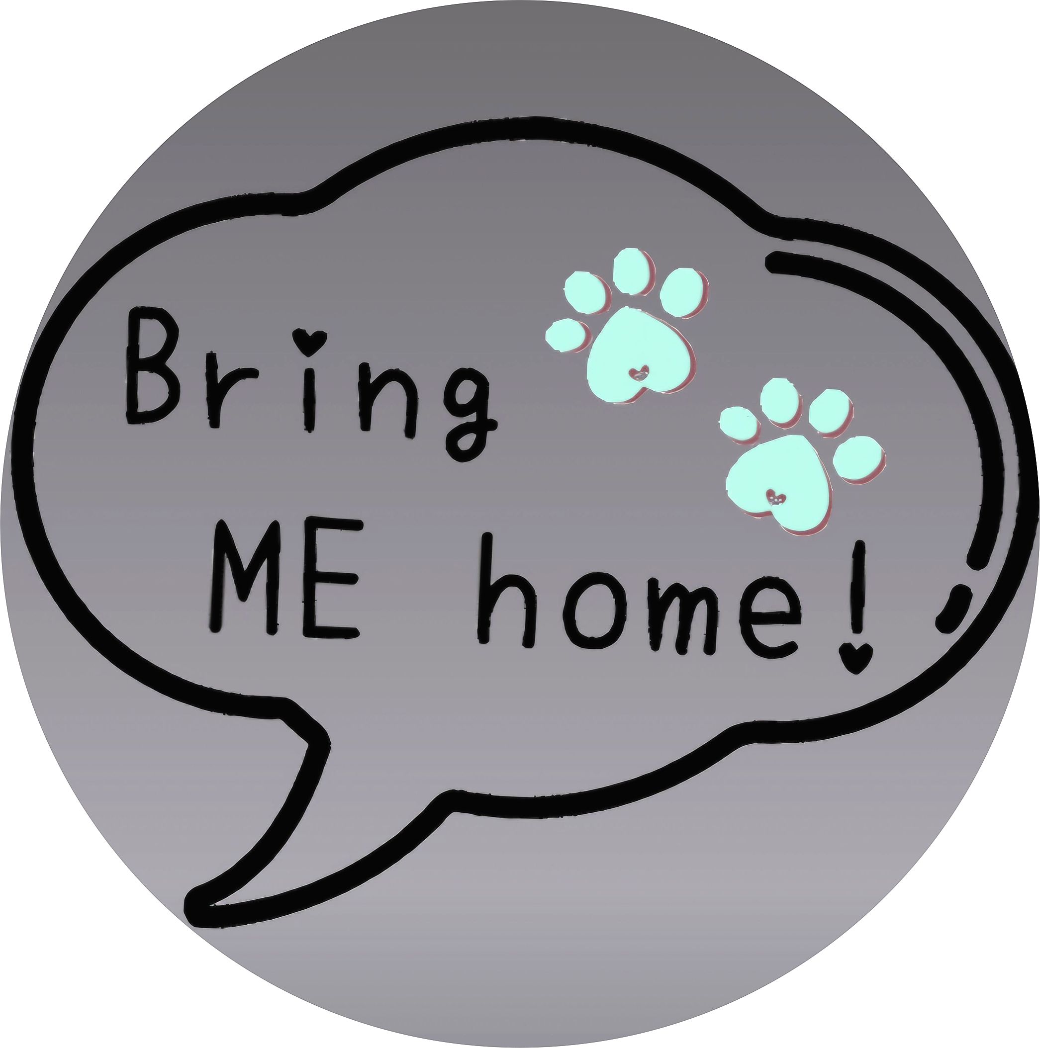 bring me home.jpg