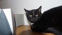 DSC04935.JPG