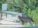 FB_IMG_1660472764801.jpg