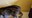 FB_IMG_1660472799489.jpg