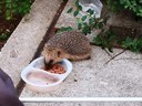 FB_IMG_1660472838614.jpg