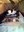 FB_IMG_1660472853159.jpg