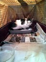 FB_IMG_1660472853159.jpg