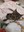 FB_IMG_1671618804436.jpg