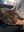 FB_IMG_1671618844183.jpg