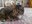 FB_IMG_1671618854743.jpg