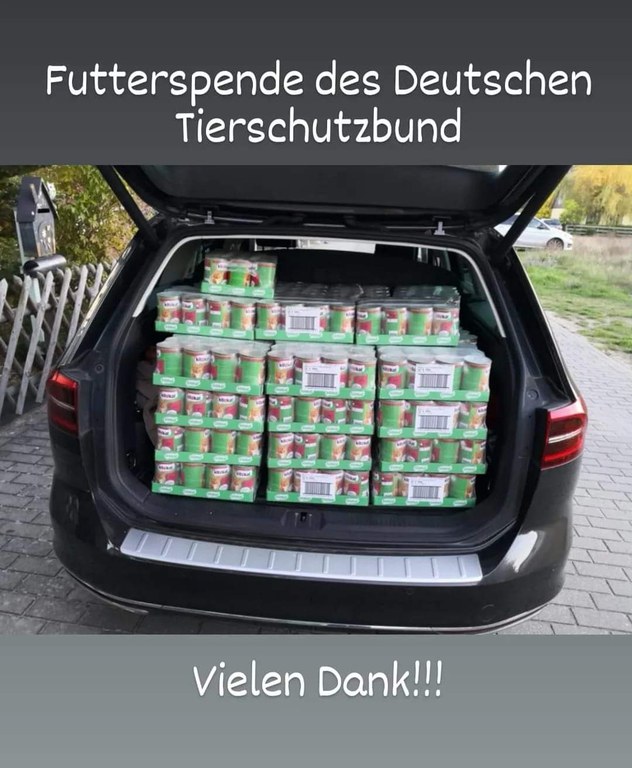 FB_IMG_1676059425559.jpg