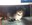 FB_IMG_1682251987240.jpg