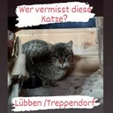 FB_IMG_1682252291136.jpg
