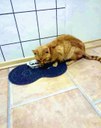 FB_IMG_1682257439559.jpg
