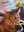FB_IMG_1682273438324.jpg