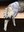 FB_IMG_1682273445747.jpg