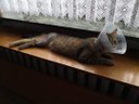FB_IMG_1682273491631.jpg