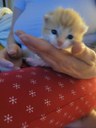 FB_IMG_1683911919459.jpg