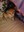 FB_IMG_1684007048160.jpg
