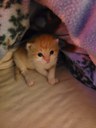 FB_IMG_1684007048160.jpg