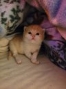 FB_IMG_1684007055057.jpg