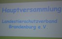 FB_IMG_1684712436802.jpg