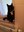 FB_IMG_1685089260228.jpg