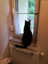 FB_IMG_1685089263998.jpg