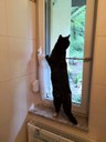 FB_IMG_1685089270697.jpg