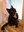 FB_IMG_1685089274574.jpg