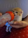 FB_IMG_1689798371539.jpg