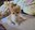 FB_IMG_1689798381267.jpg