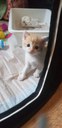 FB_IMG_1689798426971.jpg
