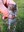 FB_IMG_1689877954634.jpg