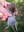 FB_IMG_1689877958492.jpg