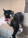 FB_IMG_1690816901188.jpg