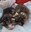 FB_IMG_1692557731412.jpg