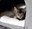 FB_IMG_1692557735891.jpg
