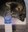FB_IMG_1692557745570.jpg