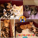 FB_IMG_1698047092373.jpg