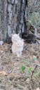 FB_IMG_1698047635719.jpg