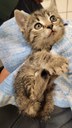 FB_IMG_1698048006908.jpg
