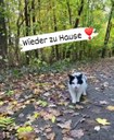 FB_IMG_1699614772492.jpg