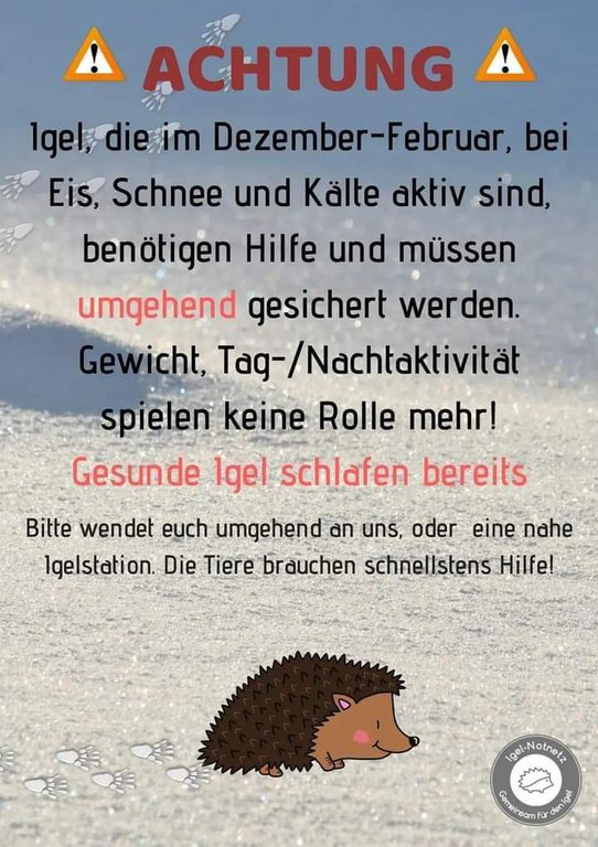 FB_IMG_1701767658626.jpg