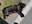 FB_IMG_1716166204940.jpg